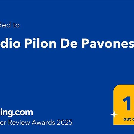Studio Pilon De Pavones Павонес Экстерьер фото
